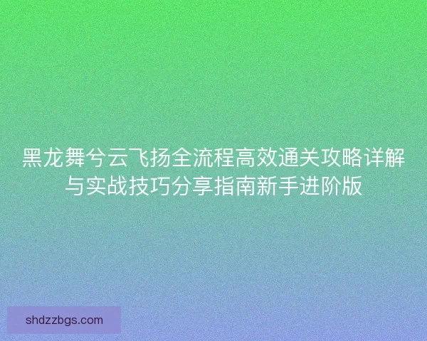 黑龙舞兮云飞扬全流程高效通关攻略详解与实战技巧分享指南新手进阶版